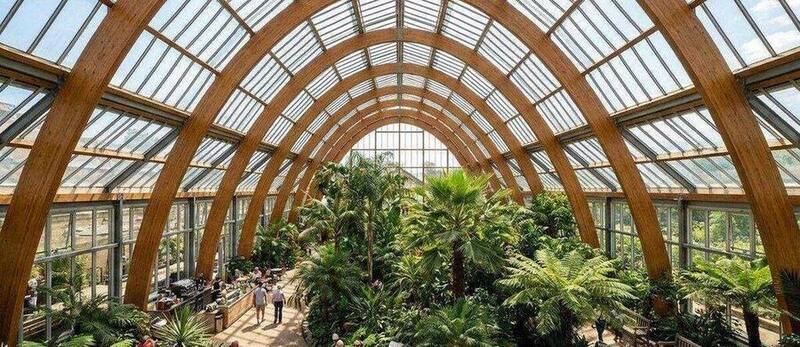 Winter Gardens Sheffield
